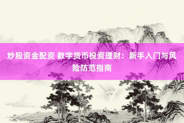炒股资金配资 数字货币投资理财：新手入门与风险防范指南