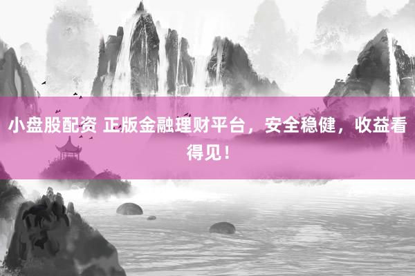 小盘股配资 正版金融理财平台，安全稳健，收益看得见！