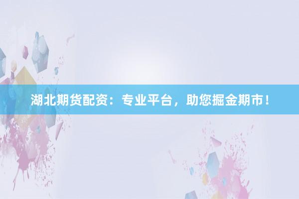 湖北期货配资：专业平台，助您掘金期市！