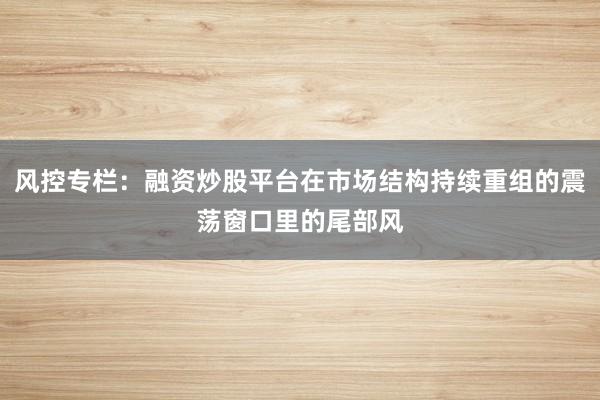 风控专栏：融资炒股平台在市场结构持续重组的震荡窗口里的尾部风