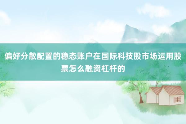 偏好分散配置的稳态账户在国际科技股市场运用股票怎么融资杠杆的