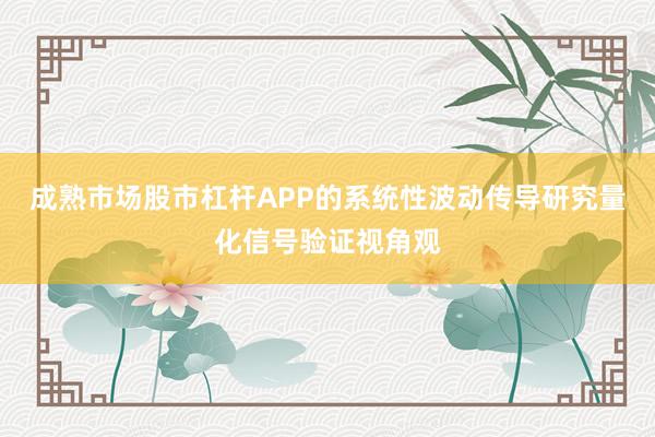 成熟市场股市杠杆APP的系统性波动传导研究量化信号验证视角观