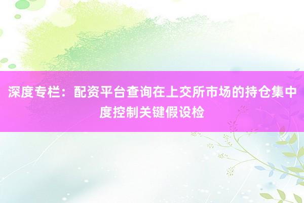 深度专栏：配资平台查询在上交所市场的持仓集中度控制关键假设检