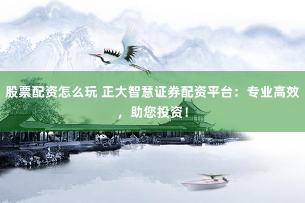 股票配资怎么玩 正大智慧证券配资平台：专业高效，助您投资！