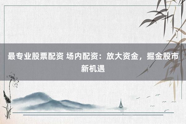 最专业股票配资 场内配资：放大资金，掘金股市新机遇