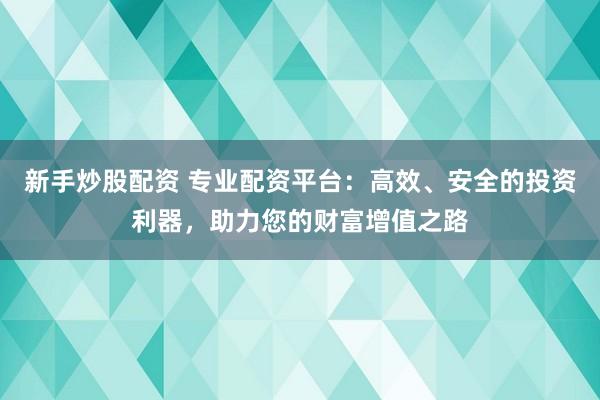新手炒股配资 专业配资平台:高效、安全的投资利器,助力您的财富增值之路