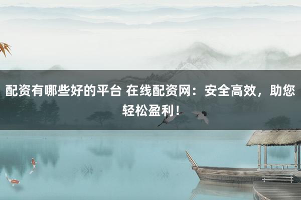 配资有哪些好的平台 在线配资网：安全高效，助您轻松盈利！